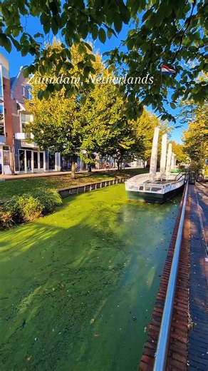 «Ταξίδεψε εκεί όπου ο χρόνος σταματά και η μαγεία αρχίζει.» Zaandam, Netherlands 🇱🇺 «Τα ταξίδια γεμίζουν το μυαλό με εικόνες, το Zaandam γεμίζει την καρδιά με ηρεμία.» Το Zaandam βρίσκεται στην Ολλανδία (Κάτω Χώρες) 🇳🇱, πολύ κοντά στην πρωτεύουσα Άμστερνταμ — περίπου 15 λεπτά με το τρένο βόρεια από το κέντρο της πόλης. 🔹 Ανήκει στην επαρχία Noord-Holland (Βόρεια Ολλανδία). 🔹 Είναι μέρος του δήμου Zaanstad, που περιλαμβάνει και άλλες πόλεις της περιοχής του ποταμού Zaan. 🔹 Το Zaandam είναι
