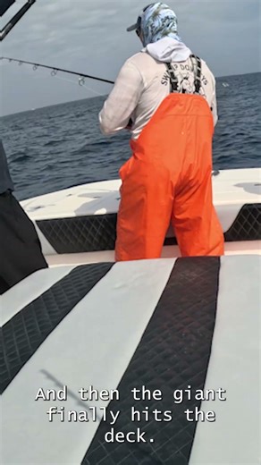 What Lure are you Throwing When you See This Offshore