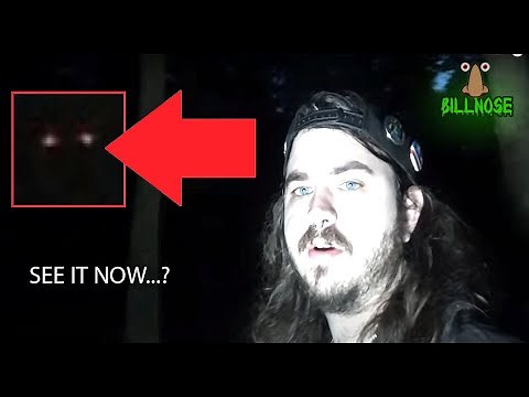 SCARY VIDEOS of STRANGE Creature Sightings Caught on Camera