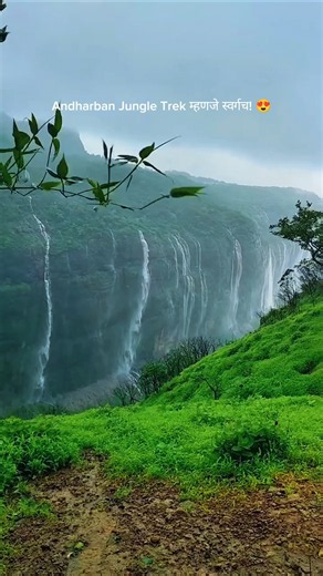 Andharban मधील हा नजारा पाहून प्रेमात पडाल 😍🌿 | Maharashtra Monsoon Trek #shorts