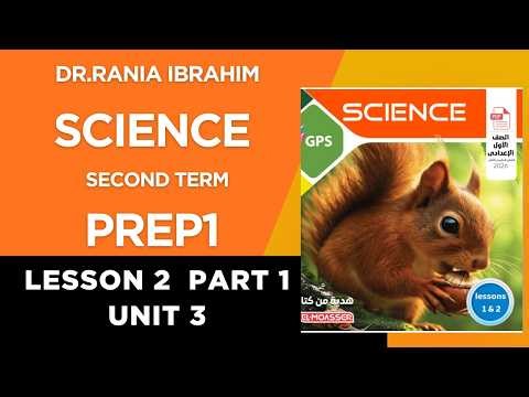 PREP 1 Lesson 2 part 1 Unit 2 شرح الدرس الثانى الجزء الاول الوحدة الثالثة سنة اولى اعدادى الترم2