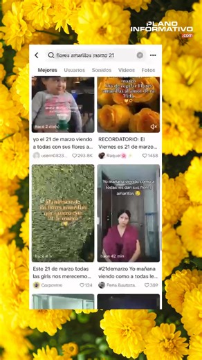 #floresamarillas | 🌻✨ ¿Qué significa regalar flores amarillas este 21 de marzo? Puede ser si existe un interés sentimental de amor expresando querer una vida junto a tu pareja, ya que en lo últimos años se volvió tendencia por la canción "Flores Amarillas" de Floricienta. Pero además, se obsequian flores amarillas expresando lazos de amistad, o bien por logros personales/profesionales e incluso representando felicidad. ☺️🌼 | Plano Informativo