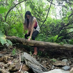 8.6K views · 62 reactions | 3 Day Solo Bushcraft Building underground shelter in the Forest | Sandra Vegetable | Facebook