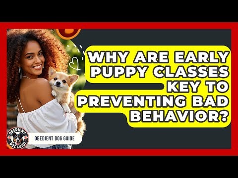 Why Are Early Puppy Classes Key To Preventing Bad Behavior? - Obedient Dog Guide