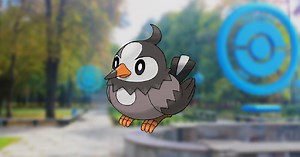 Shiny Starly, evolution chart, 100% perfect IV stats and Staraptor best moveset in Pokémon Go