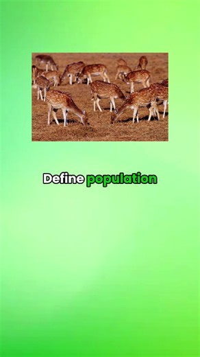 Ecology #GCSEBiology #Biology #GCSE #Science #GCSERevision #Revision #Year11 #AQABiology #CombinedScience #Biologyflashcards #GCSEs