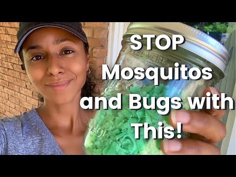 1 ingredient DIY Mosquito and Bug Repellent using Irish Spring Soap