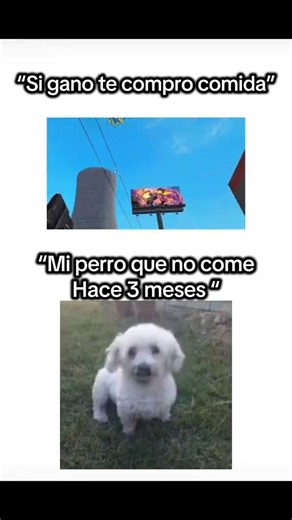 xd 😂😂 #freefire #fypシ #fypシ #freefirelovers #macroparafreefire #followme #macroparafreefire