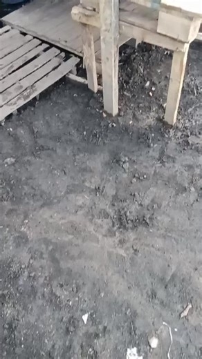 #d omongi gae cangkem Ra kenek tungkak seng ISO ngomongi#fyp