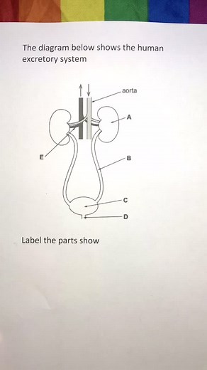 Biology With Claire on TikTok