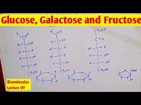 Glucose, Fructose and Galactose linear structure, Comparison and ring structure || Monosaccharides