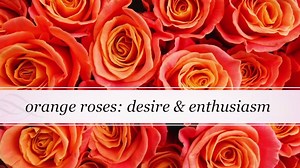 31K views · 439 reactions | Roses are red, violets are blue and...