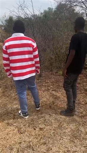 Hatcliffe church (Greenshade Guta reMweya ❤️🥺) | Afc Mugodhi songs