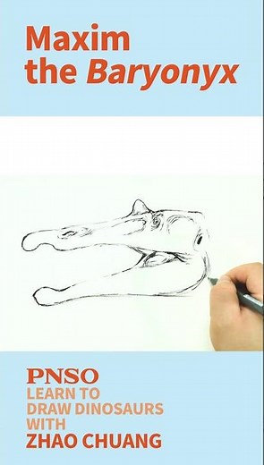 Head Close-up Drawing of a Baryonyx--Learn to Draw Dinosaurs with ZHAO Chuang