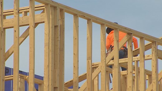 'I have never seen it like this': Lumber prices soar amid shortage, building boom