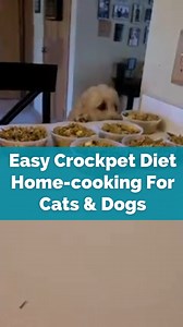 1.7K views · 45 reactions | How do you prepare your pet's meals? The Original CrockPet Diet is a home-cooked diet for your pet, made in your kitchen with only real foods. Dr. Ruth's patented recipe is fully balanced for pets in all life stages and can improve the health of puppies and kittens, adult cats and dogs, and senior pets. https://www.theoriginalcrockpetdiet.com/ | Dr. Ruth Roberts - The Original Holistic Pet Health Coach | Facebook