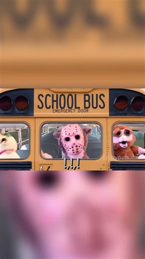 Feisty Bus