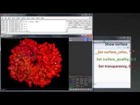 Visualising Proteins With PyMol - Imaging