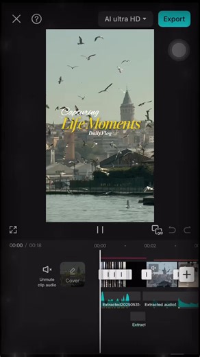 Capturing Life Moments: Daily Vlog Template