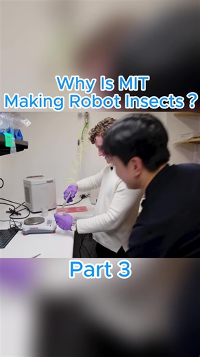 “Why Is MIT Making Robot Insects?”: #MITResearch #RobotInsects #FutureOfRobotics #BioInspiredTech #NextGenTechnology