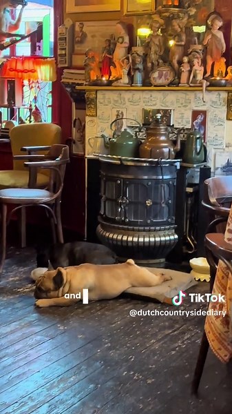 Exploring the Muddy Trails of the Drowned Land