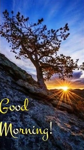 ❤❤❤❤❤❤❤❤❤❤❤❤❤💯💯💯💯💯💯💯