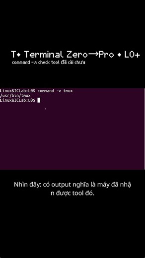 T• command -v: check tool đã cài chưa | L0 (Terminal Zero→Pro) #ubuntu #terminal #python #linux#code