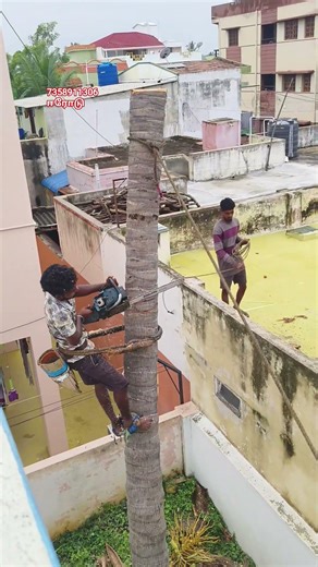 anbu tree cutter machine working