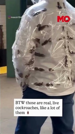 Man Caught Wearing Jacket Full Of Cockroaches | Mo of Everything