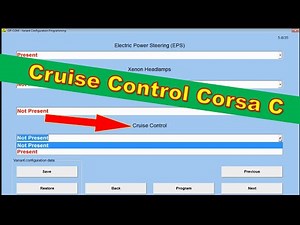 Cruise Control Programming Corsa C