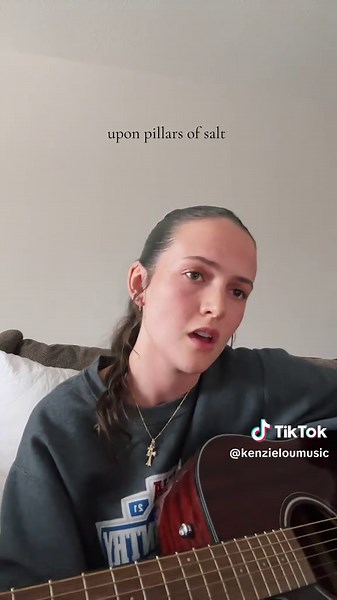 Viva La Vida: Minecraft Acoustic Cover