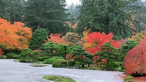 Take a moment for yourself to be surrounded by the beauty of nature. Hear the gentle sounds of rain fall over the Flat Garden and take in this moment of calm. | Portland Japanese Garden