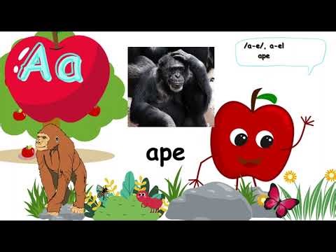 Exploring Letter Aa with Apple, Vocabulary, Sound& Correct stroke in writing Letter Aa