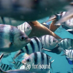 185 reactions · 21 shares | Beats them exploring the internet. | Tourism Fiji | Facebook