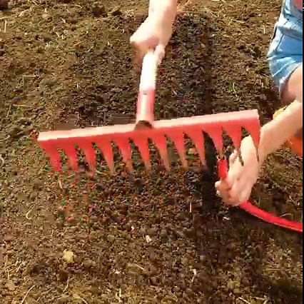 558K views · 2.6K reactions | Genius way to modify gardening tools and make planting a lot easier 華 | 5-Minute Crafts Men | Facebook
