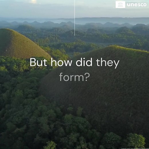 Behold the breathtaking beauty of the Chocolate Hills in Bohol Island UNESCO Global Geopark, in the Philippines 🌿🍫 These iconic conical hills are not just a marvel to behold but also a testament to the fascinating geological history of our planet. 🌎 Can you imagine this area was once thick with coral reefs? And now, during the *dry season, it resembles a beautiful box of chocolates.😍 🌄 Dive deep into the heart of Earth's heritage as you explore this unique karst formation, a true wonder of 