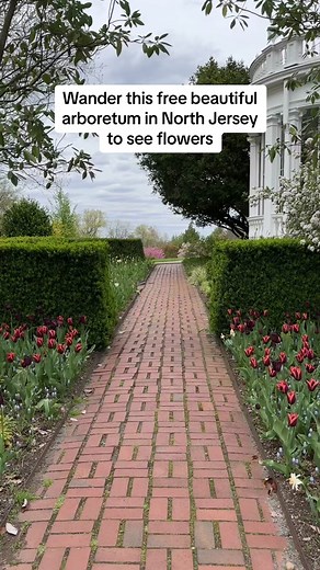 FREE outdoor activity to do in North Jersey this spring/summer: visit The Frelinghuysen Arboretum in Morris County, NJ!🌷 📍The Frelinghuysen Arboretum, 353 E Hanover Ave, Morristown, NJ 07960 This public arboretum is open year-round to the public. Enjoy walking trails, a picnic on the lawn, wandering the picturesque gardens, and more outdoor beauty!🌳 Visitors can easiy spend an hour or so here! Happy exploring, and don’t forget to follow me for more fun things to do in and around NJ and the No