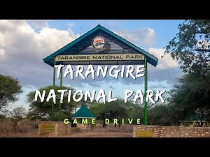 Tarangire National Park Game Drive: Safari Adventure