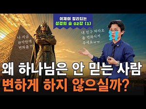 이제야 정리되는 하나님의 유기 / 성경의 숲 02 출애굽
