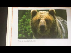 Animals: Bear, Baby Einstein, Let’s Explore