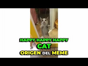 Happy Happy Happy Cat MEME ORIGIN The True Story of the Happiest Cat on the Internet