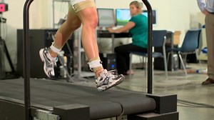 Center for Muscle Biology at the University of Kentucky | UK Research