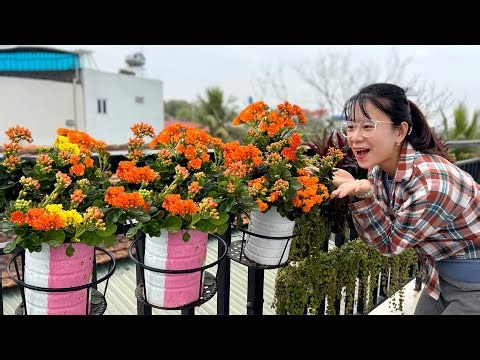 Balcony Decoration: The Most Beautiful Hanging Planters You Should Try