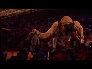 JESUS 2020 | Training the Animals | Sight & Sound Theatres®