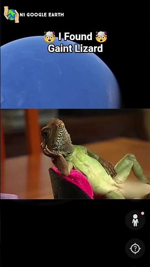 Lazy Lizard 🦎🤯Found In Googel Maps And Google Earth #shots #n1googleearth #googleearth