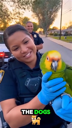 Election Scene Gone Wrong! Parrot Starts Shouting Like a Minister! 😂🐦 🦜🔥 THE FUNNIEST “POLITICAL PARROT” VIDEO ON THE INTERNET! Whether he’s lying on the floor, sitting on a police officer’s arm, standing in a mall, or yelling in a clinic — this parrot behaves like a FULL-TIME politician! 😂 In this viral scene, the parrot delivers lines like: “Winning elections is easy!” “I’ll create new laws!” “This is political sabotage!” “My voters are watching me!” The officers/people around him burst i