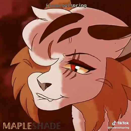 #warriorcats #warriorcatsedit #warriorcatsvillains #viral ——— In this video, I’ll be showcasing all the Warrior Cats villains. All Warrior Cats villains start from Tigerstar, Scourge, Brokenstar, Hawkfrost, Darktail, Ashfur, Thistleclaw, Sol, Mapleshade, One-Eye, Sleekwhisker, Clearsky, Curlfearther, Splashtail, Rainflower, and lastly, Darkstripe. I know there's a LOT more villains but I'll edit the one where people get attention to the Warrior Cats characters🫱🫱 ——— In my opinion, my favorite