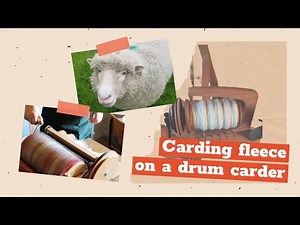 Fleece to Yarn Part 2 - Carding fleece on a drum carder
