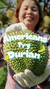 2.6K views · 83 reactions | You never really forget the first time you try durian! Equipped with plastic gloves and a sense of adventure, we introduced the infamous tropical fruit to our American friends. Find out if they loved it or hated it! #durian #DurianChallenge | U.S. Embassy Singapore | Facebook