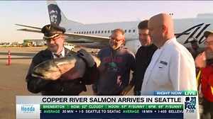 This season's first shipment of Copper River Salmon has arrived in Seattle from Alaska! | FOX 13 Seattle
